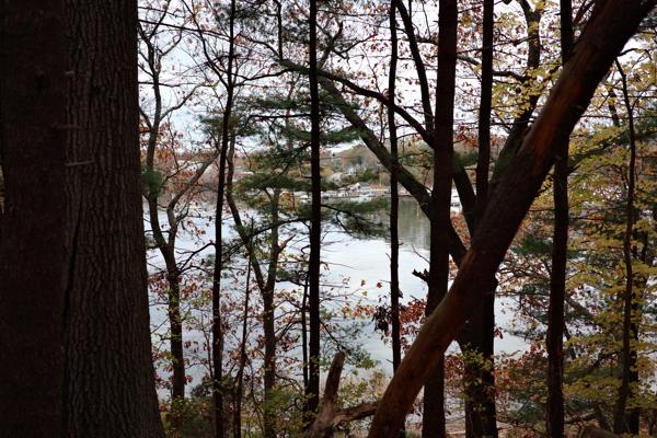 Fall Photos