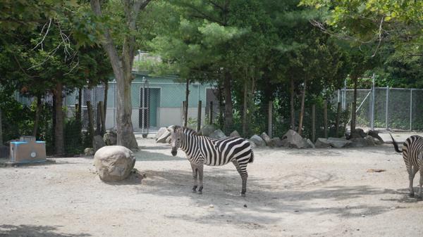 Roger Williams Park Zoo